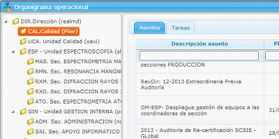 View of the assigned issues and tasks ordered according to the responsibility of the operational organization chart in the eGAM BPM platform.