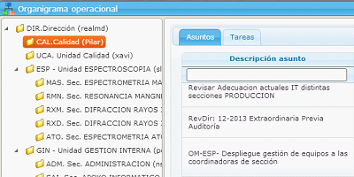 Example of the view of assigned issues and tasks ordered according to the responsibility of the operational organization chart in the eGAM BPM platform.